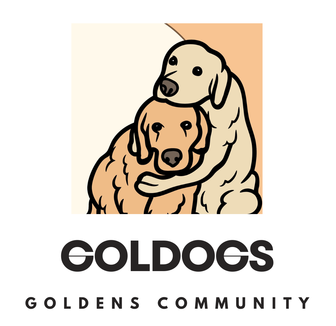 GOLDOGS MAGAZINE